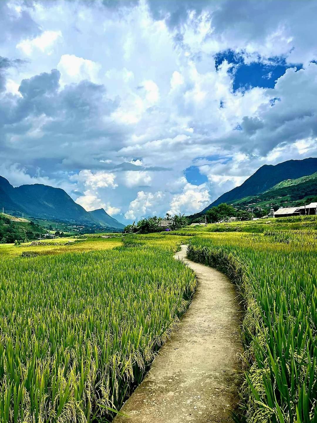 Tavan Dragon House Lao Cai Eksteriør billede