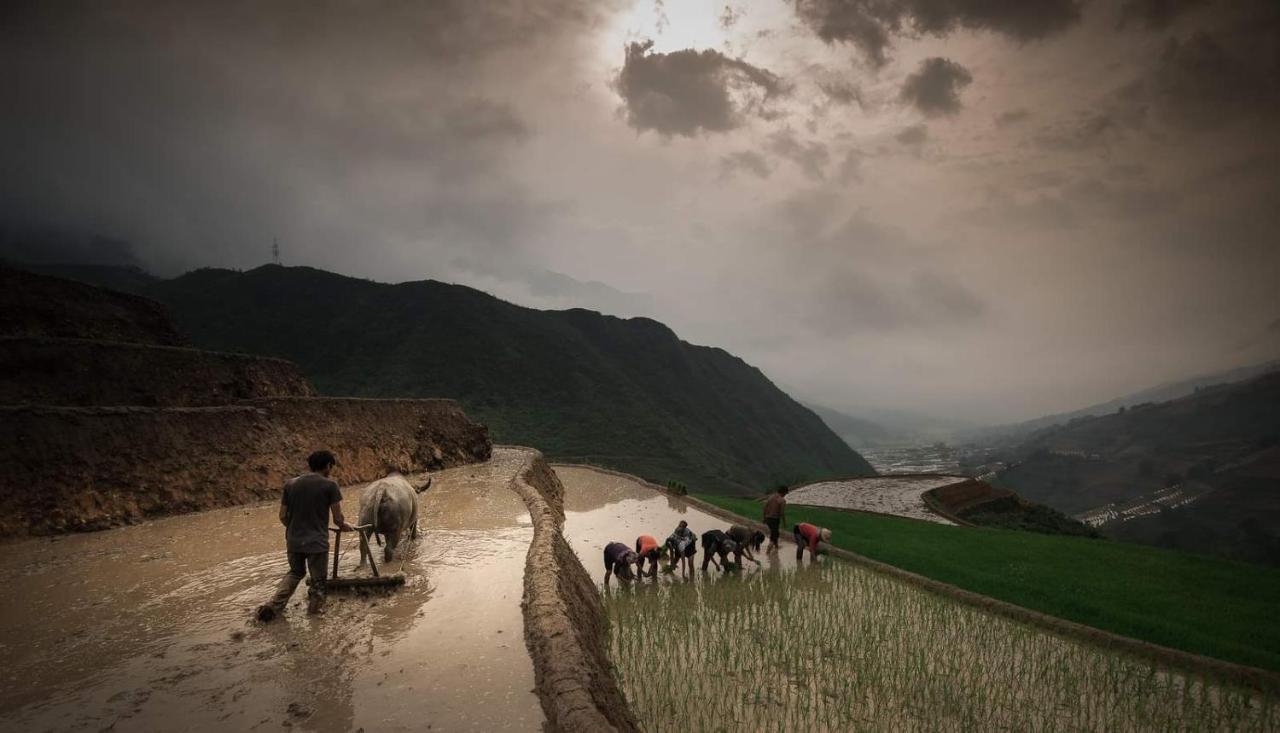 Tavan Dragon House Lao Cai Eksteriør billede